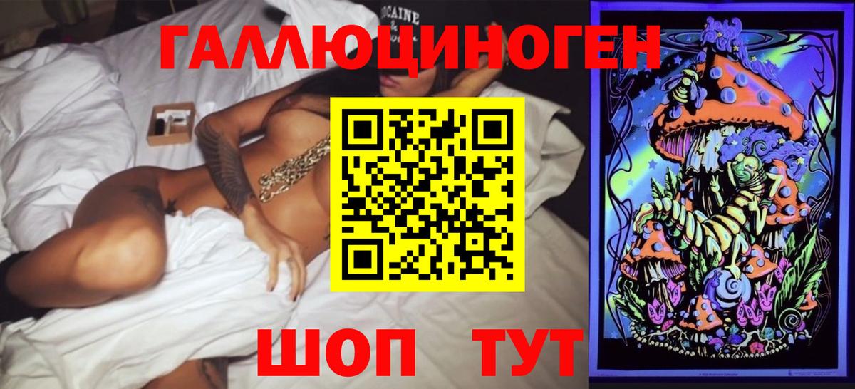 Малгобек  Псилоцибиновые грибы мицелий  Вход с VPN  Псилоцибиновые грибы мухоморы 