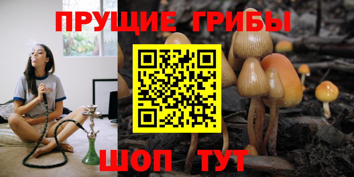 Псилоцибиновые грибы мицелий Малгобек